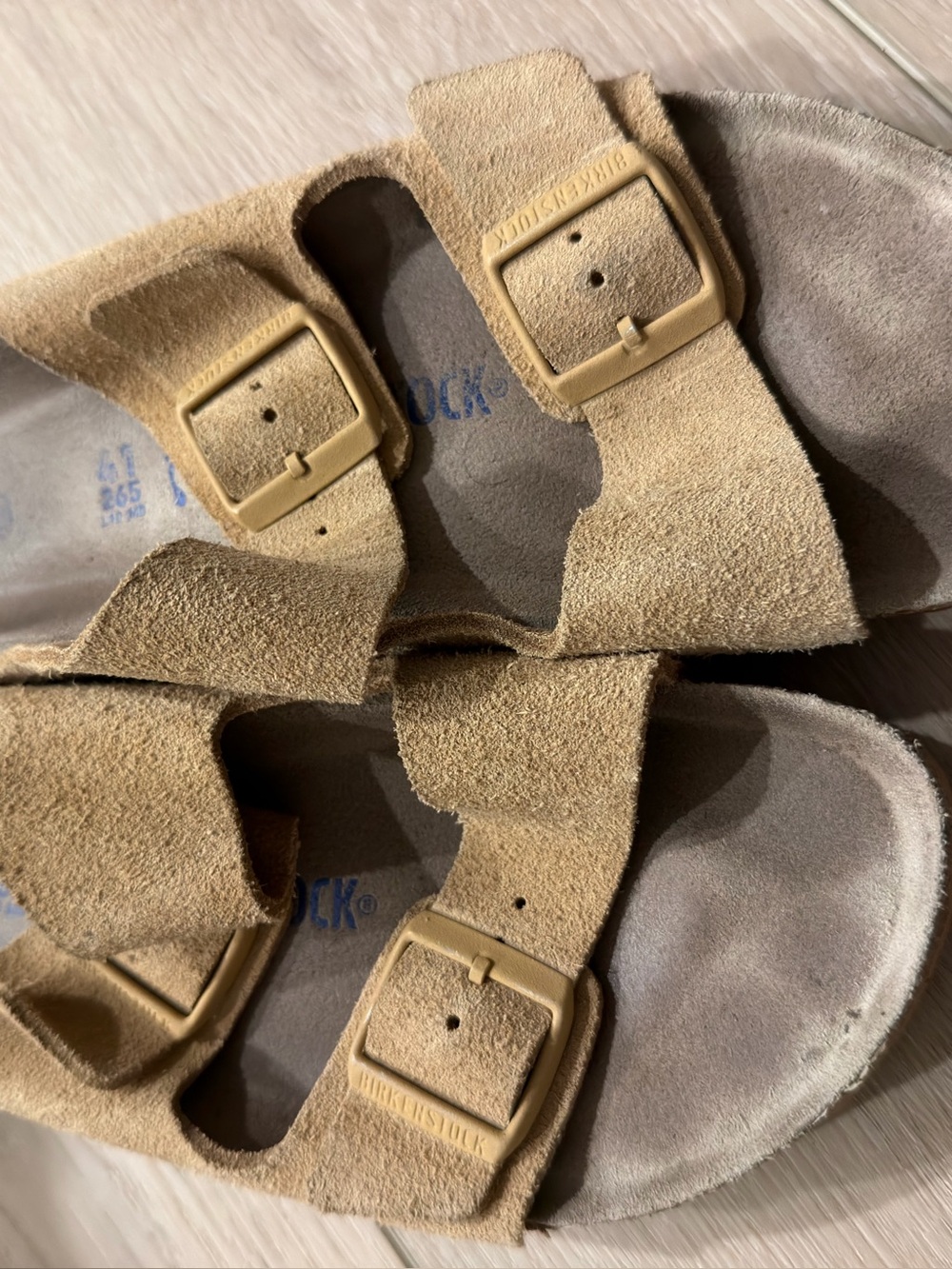 Birkenstock Arizona Soft Footbed Suede - Picture 2 of 12